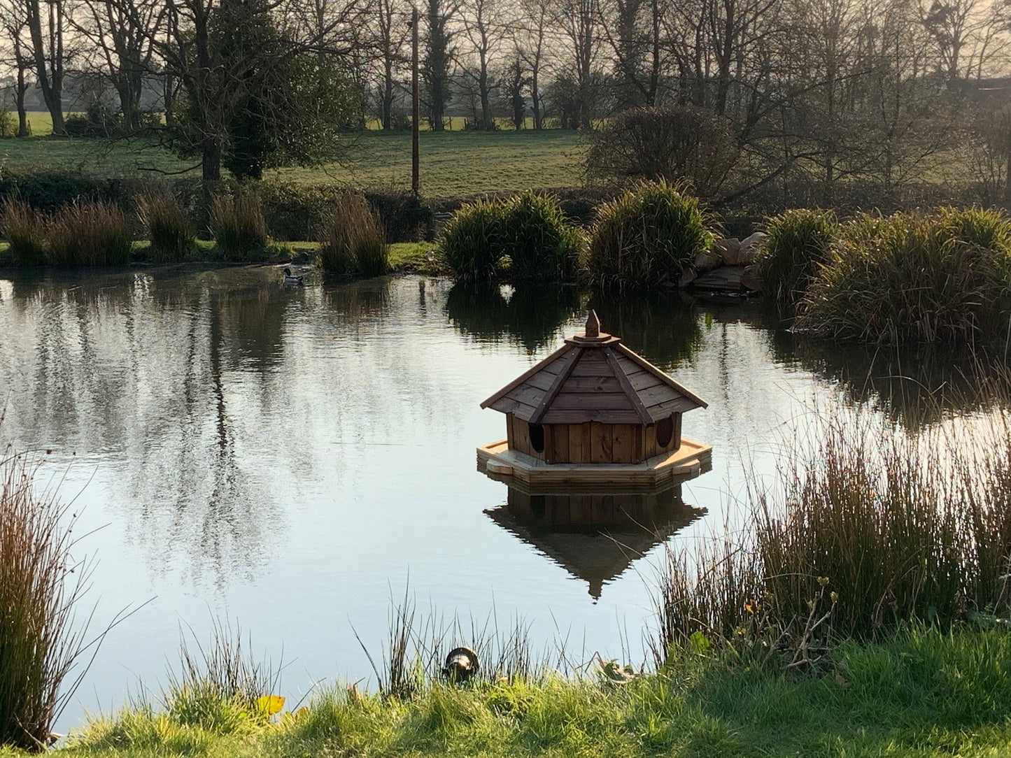 Large Hexagonal Duck House and Float