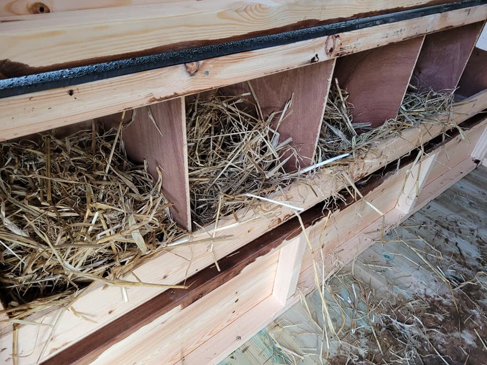 The Moreton Poultry Unit