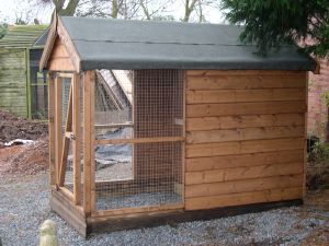 Cat Run 7' x 4'