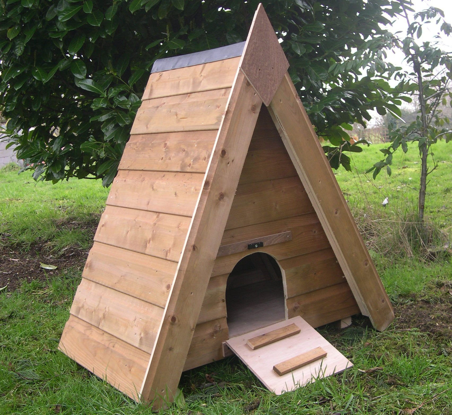 Triangular Duck House