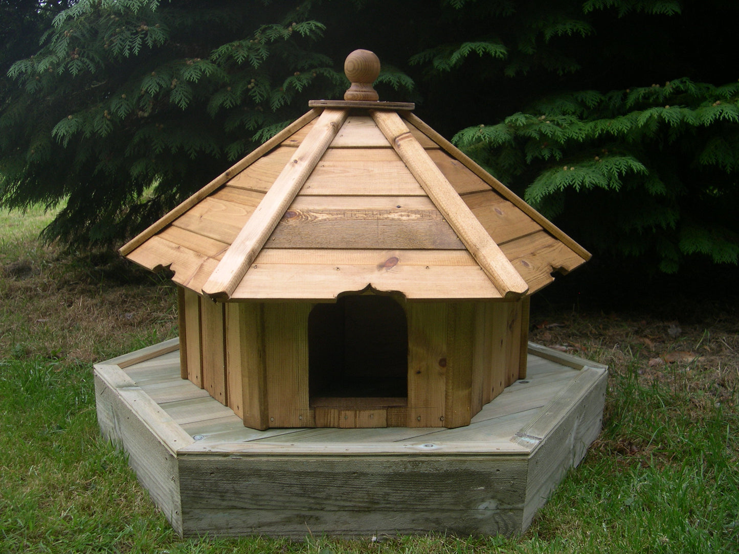 Small Hexagonal Duck House and Float
