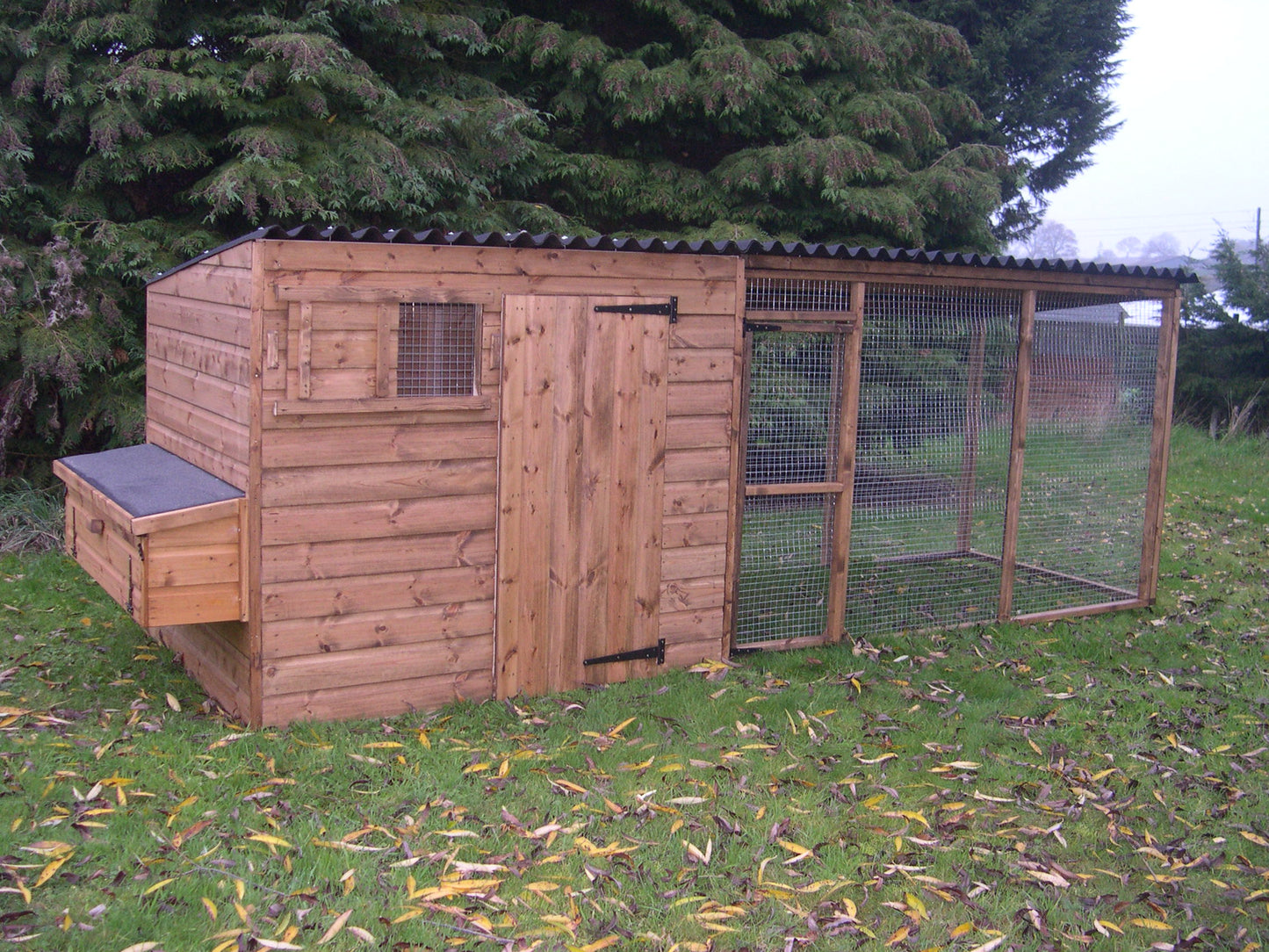 The Felton Poultry House with Run