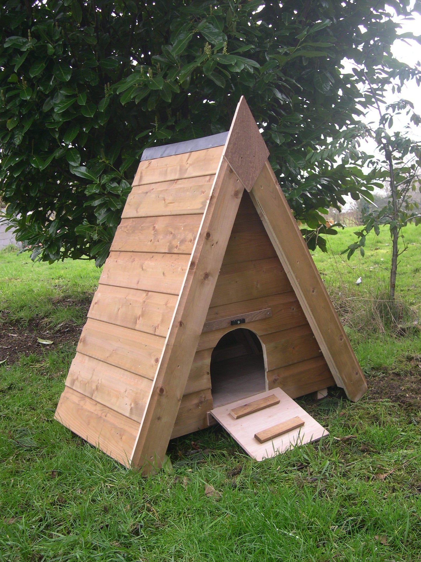 Triangular Duck House